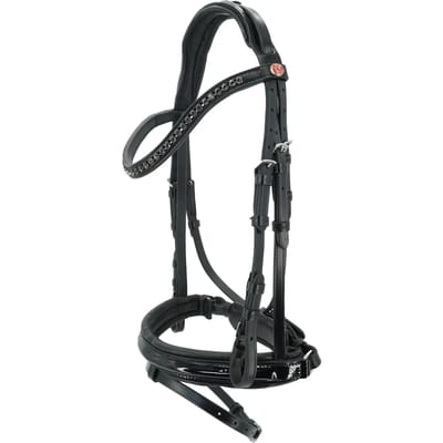 Hoofdstel Kieffer Comfort Profi with square brass