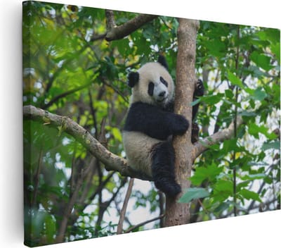 Artaza Canvas Schilderij Panda - 60x40 cm - Wanddecoratie Dieren - Muurdecoratie Boom - Schilderijen Op Canvas Bos