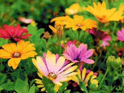 MyHobby Borduurpakket – Margrieten 40×30 cm - Aida borduurstof 5,5 kruisjes/cm (14 count) - Telpatroon - Borduurgaren - Borduurnaald - Handleiding - Voor Beginners & Gevorderden - Complete borduurset