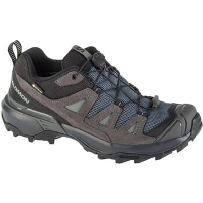 Wandelschoenen Salomon X Ultra 360 Ltr Gtx