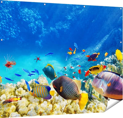 Gards Tuinposter Vissen in de Oceaan met Koralen - 150x120 cm - Tuindoek - Tuindecoratie - Wanddecoratie buiten - Tuinschilderij