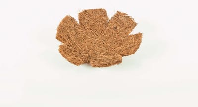 Binnenvogels- Nestmateriaal- inlegnesten cocos- Kokos pads- 6 stuks