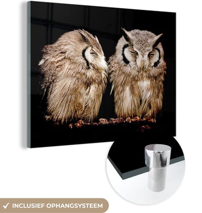 MuchoWow® Glasschilderij 160x120 cm - Schilderij acrylglas - Uil - Vogel - Zwart - Foto op glas - Schilderijen