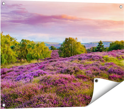 Gards Tuinposter Paarse Weide - 80x60 cm - Tuindoek - Tuindecoratie - Wanddecoratie buiten - Tuinschilderij