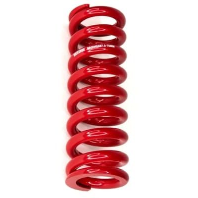 Schroefveer voor demper Rockshox 250 LB
