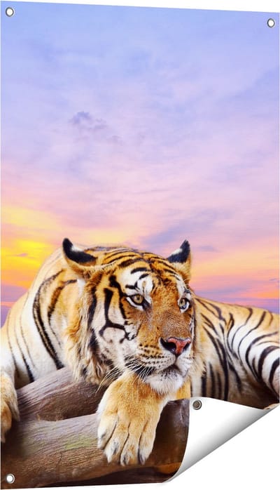 Gards Tuinposter Tijger tijdens Zonsondergang - 60x90 cm - Tuindoek - Tuindecoratie - Wanddecoratie buiten - Tuinschilderij