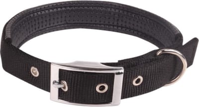 Nobleza Hondenhalsband - Nylon - Maat M - Verstelbaar 40-55 cm - Halsband Hond - Zachte Voering - Gespsluiting - Zwart