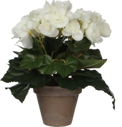 Mica Decoration Kunstplant - begonia - wit - in pot - 25 cm - nepplanten