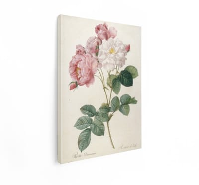 Artaza Canvas Schilderij Bloemen - 60x80 cm - Wanddecoratie Rozen Vintage - Muurdecoratie Botanisch - Decoratie Roze Romantisch