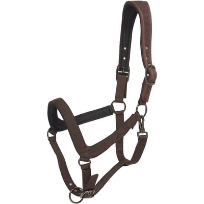 Halster voor paarden HV Polo Essential