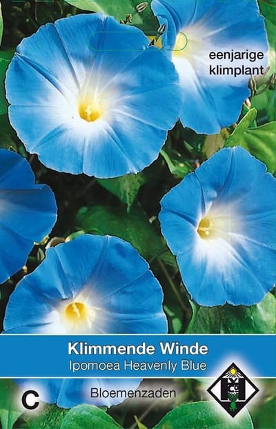 2 stuks Van Hemert & Co Ipomoea tricolor Heavenly Blue