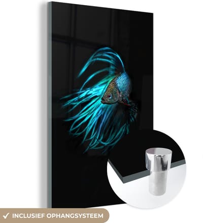 MuchoWow® Glasschilderij 100x150 cm - Schilderij acrylglas - Vis - Zeedieren - Blauw - Zwart - Foto op glas - Schilderijen