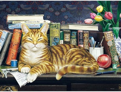 Legpuzzel 275 Stukjes XXL - Puzzel met Grote Stukken van Vrolijke Kat tussen Boeken