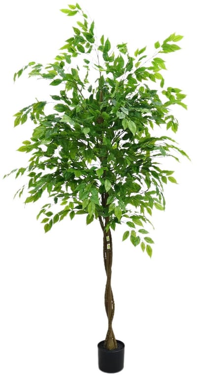 NordHaus Kunstmatige Ficus Boom - Nep Ficusboom - Kamerplant Kunstboom - Realistische Bladeren - 180 cm Hoog
