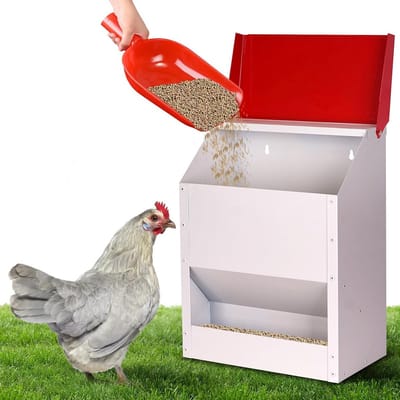 Gegalvaniseerde Kippenvoederbak - Pluimvee Voerdispenser - Voorkom Voedselverspilling - Knaagdierbestendig Ontwerp - 21 x 16 x 33 cm - Wit