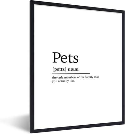 Fotolijst incl. Poster - Huisdieren definitie - Quotes - Spreuken - Pets - Woordenboek - 30x40 cm - Posterlijst