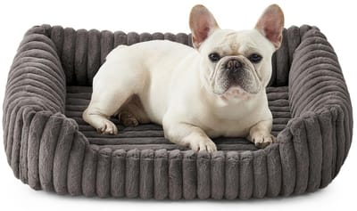 Famanu – Wasbaar Hondenbed voor Katten en Kleine Honden, Zachte Kunstbont Mand, Huisdierenbank met Hoge Randen, Pluizig, Antislip, 76x58x18cm, Grijs