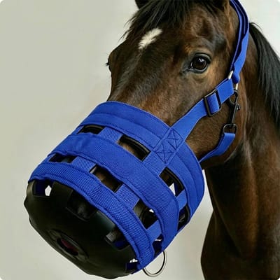 Paardenmuilkorf Metaal Beslag Paardenmuilkorf Dierentuig Anti-Bijten Ademend donkerblauwe kleur