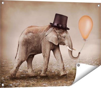 Gards Tuinposter Olifant met een Oranje Ballon - Hoedje - 80x60 cm - Tuindoek - Tuindecoratie - Wanddecoratie buiten - Tuinschilderij