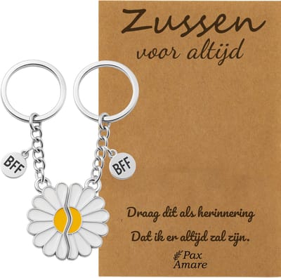 BFF Sleutelhanger voor 2 'Zussen voor altijd' - Magnetische Bloem - Sleutelhanger set op Cadeau Kaartje Sleutelhanger set - Zilverkleurig - Vriendschap Symbool - Pax Amare