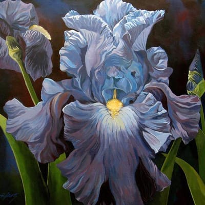 Diamant borduurwerk blauwe iris verkoop 5d diy diamant schilderij volledige ronde diamant bloem foto 30x30CM gray