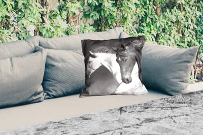 Buitenkussen - Paarden - Dieren - Zwart - Wit - Portret - 45x45 cm - Weerbestendig