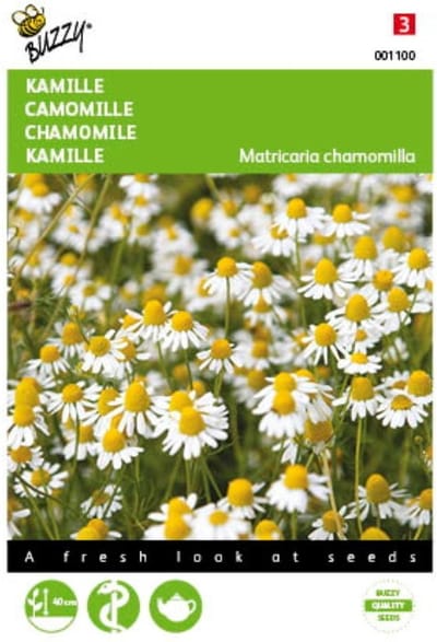 2 stuks Kamille (Matricaria chamomilla)
