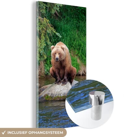 MuchoWow® Glasschilderij 20x40 cm - Schilderij acrylglas - Beer - Steen - Dier - Foto op glas - Schilderijen