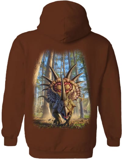 Dino Styracosaur The Coloured House Hoodie S