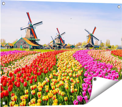 Gards Tuinposter Kleurrijke Tulpen Bloemenveld - Windmolen - 80x60 cm - Tuindoek - Tuindecoratie - Wanddecoratie buiten - Tuinschilderij