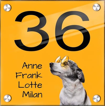 Huisnummer naambord plexiglas 20x20x0,5cm Hond design- met naam bedrukken Huisnummerbordjes, Naambordje voordeur, naamplaatje voordeur, huisnummer bord, huisnummer borden