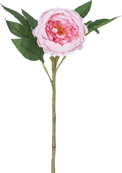 Easyplants | Kunstpioen Real Touch Roze 58cm | Zijde | Nepbloemen | roze | Onderhoudsvrij | Kant-en-klaar
