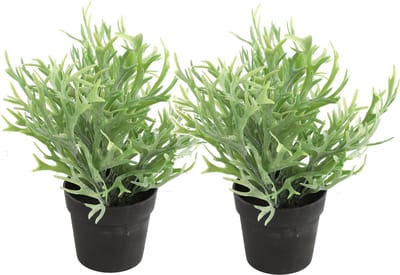 Countryfield Kunstplant Platycerium plant in bloempot - 2x - Groen - 20 x 24 cm
