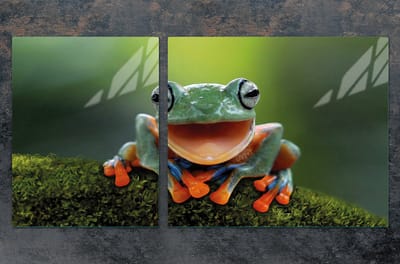 TMK ArtDeko - Snijplank en Fornuisbeschermer - Glas - 100x52 cm - Motief 'Zaba'