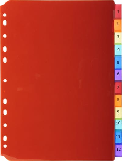 Exacompta 10x Tabbladen in Doorzichtige PP met neutrale tabs in etikettenhouder - 12 tabs - A4 - Geassorteerd - 3912E