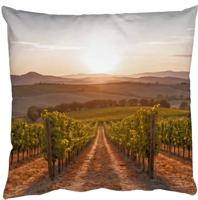 Sierkussens - Kussentjes Woonkamer - 50x50 cm - Wijngaard - Zonsondergang - Landschap