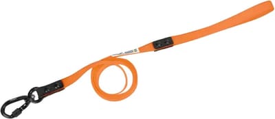 Axaeco Hondenriem Action Leash Oranje 15mmx120cm