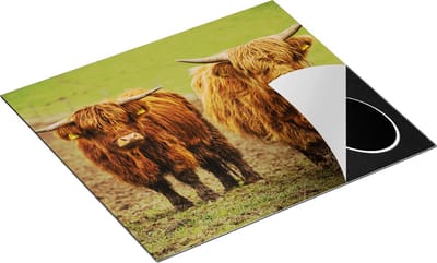 Chefcare Inductie Beschermer Twee Schotse Hooglanders in de Weide - 60x50 cm - Afdekplaat Inductie - Kookplaat Beschermer - Inductie Mat