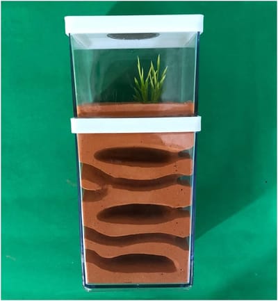 Mierenboerderij Mierennest - Mierenhuis Insectenhotel - Mieren Observeren - Gips Vochtige Zone - 23 x 8 x 23 cm