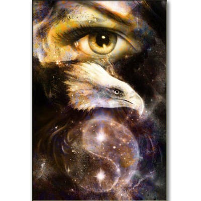 5D DIY volledige ronde diamant schilderij dier adelaar borduurwerk ogen kruissteek diamant schilderij 20X30CM black
