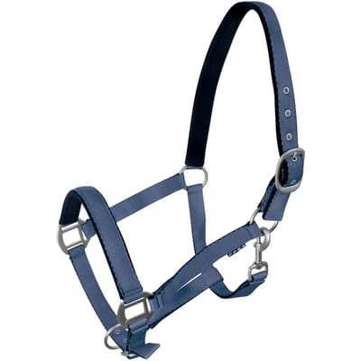 Halster voor paarden York