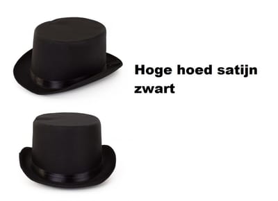 Hoed hoog satijn zwart - Thema feest festival party hoofddeksel