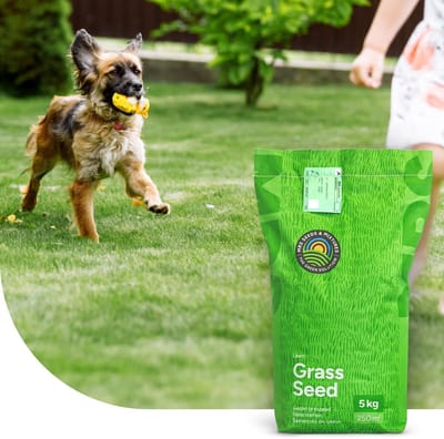 Graszaad speel- en sportgazon - 15 kg - 750 m² - snelle groei