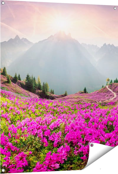 Gards Tuinposter Rhododendron Bloemenveld in de Alpen - 80x100 cm - Tuindoek - Tuindecoratie - Wanddecoratie buiten - Tuinschilderij
