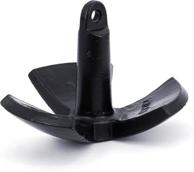 Raptor Rivier Anker - 30 LBS