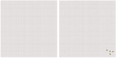 Vliegen/insecten opzet raam hor - 2x - wit - 2,5 x 2,5 m - hordoeken - insecten werend