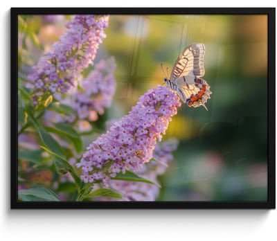 Poster in lijst - Fotolijst 70x50 cm - Posters - Sierlijke - Vlinder - Paarse - Bloemen - Posterlijst zwart - Decoratie - Wanddecoratie woonkamer - Muurdecoratie slaapkamer