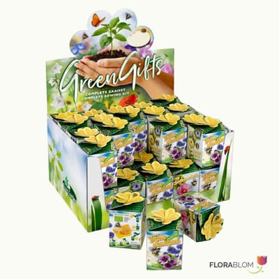 Greengift Bijenmengsel 40 stuks in showdoos - Bijen-Vlinders - Snijbloemen - Geurend - (Ook)-Voor in huis