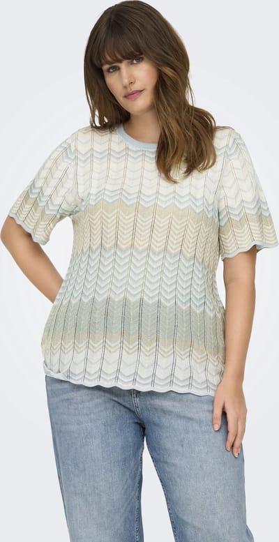 ONLY CARMAKOMA - CARALVIRA LIFE SS GLITTER O-NECK KNT - Dames - Gebreide truien