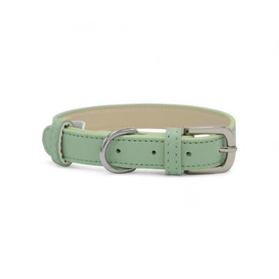 Dog's Companion Leren Halsband Hond - PU leren hondenhalsband - Lengte: 43 cm Verstelbaar van 27-37 cm x 20 mm - Groen